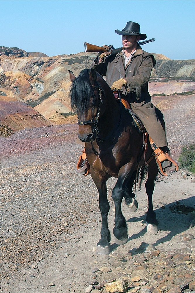 Horses for Film & TV Production